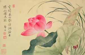 Lotus Flower, from an 